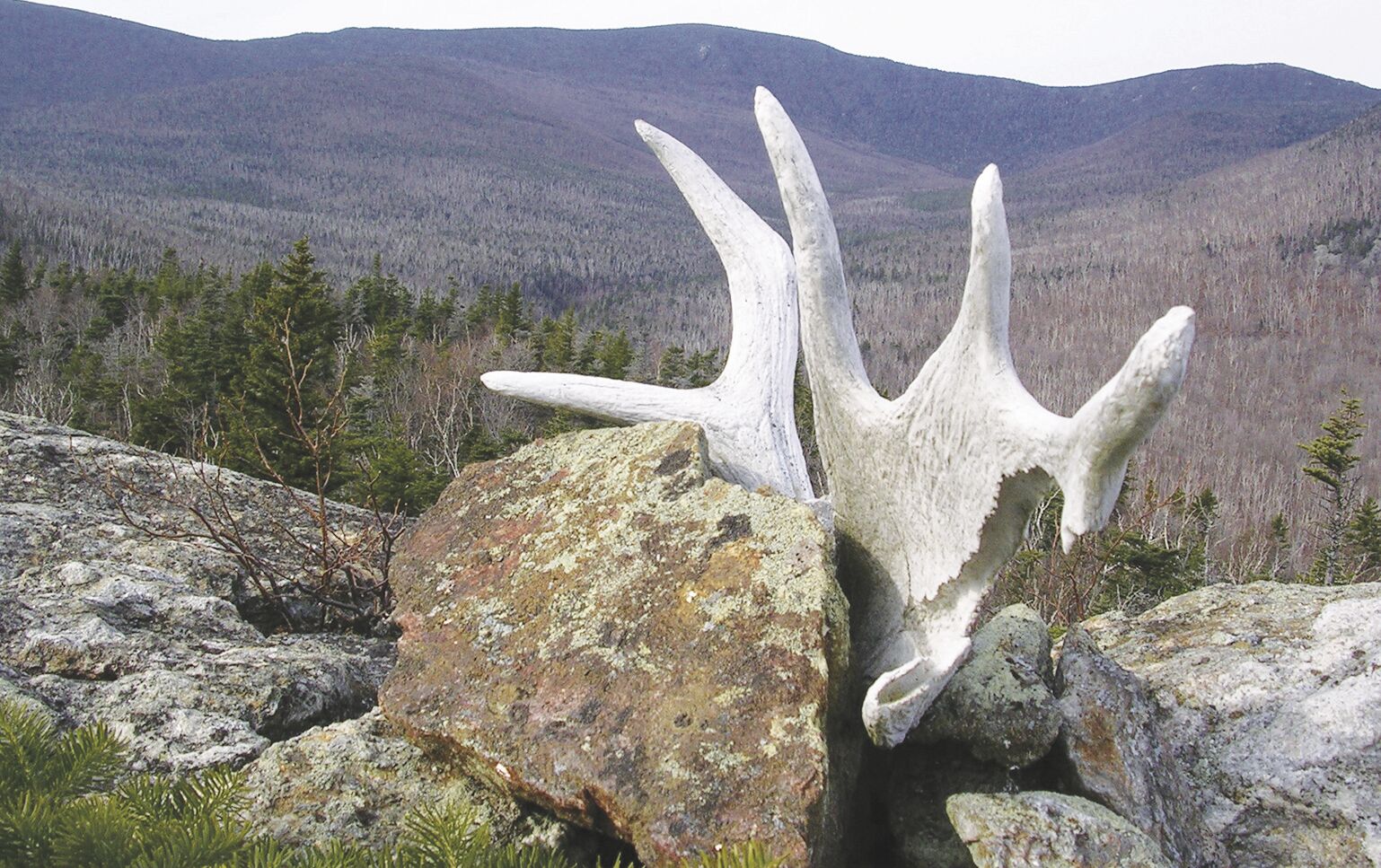 Unusual hikes in the White Mountains